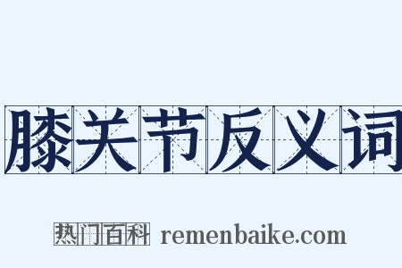 膝关节反义词是什么意思的图片